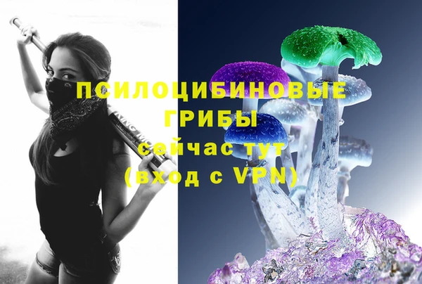 круглые Белокуриха