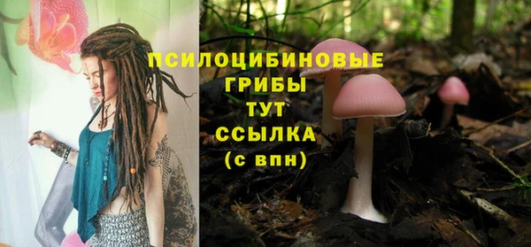 круглые Белокуриха